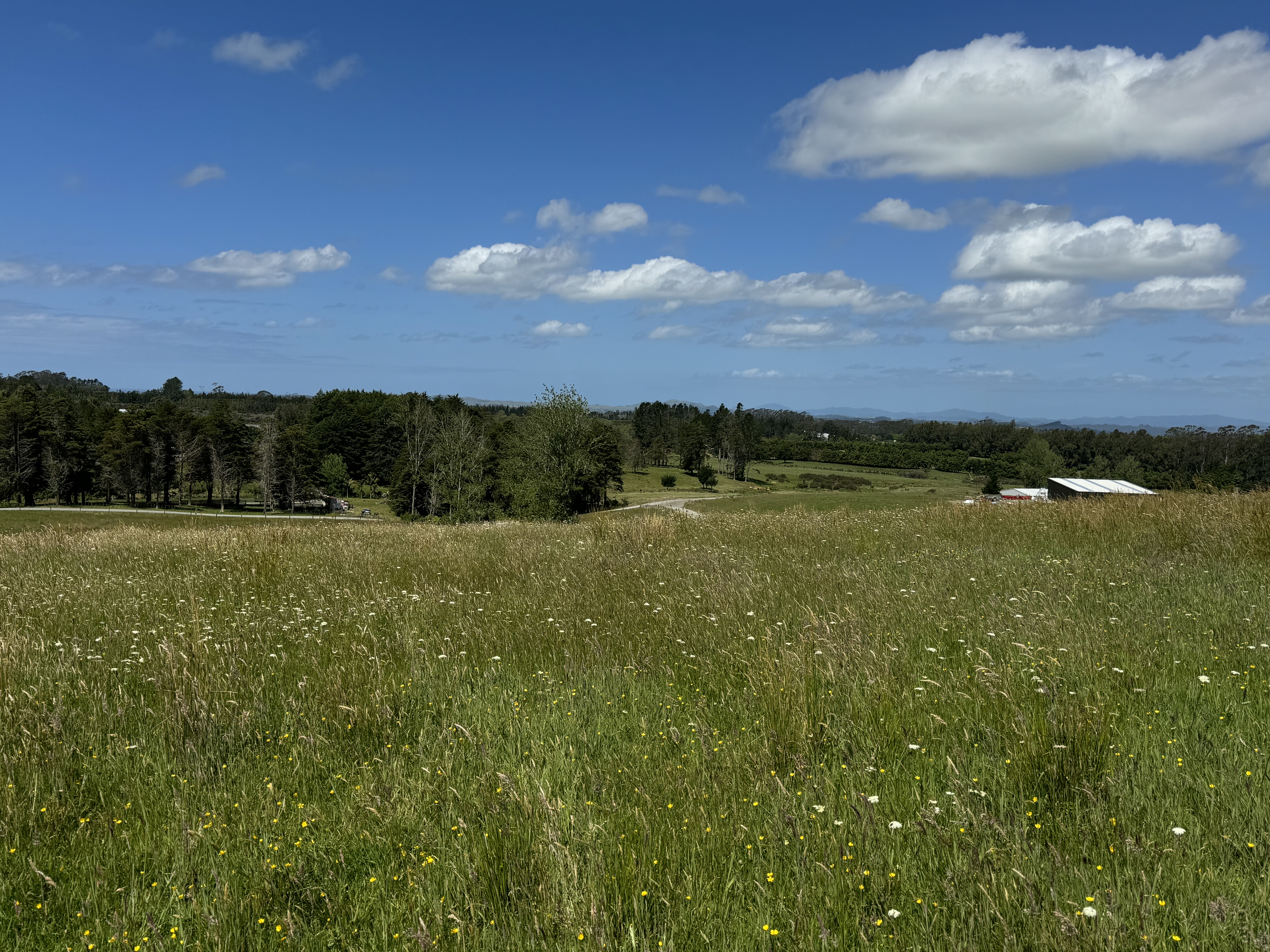 32a Rockspring Lane, Kerikeri Surrounds, Far North, 0 રૂમ, 0 બાથરૂમ, Section