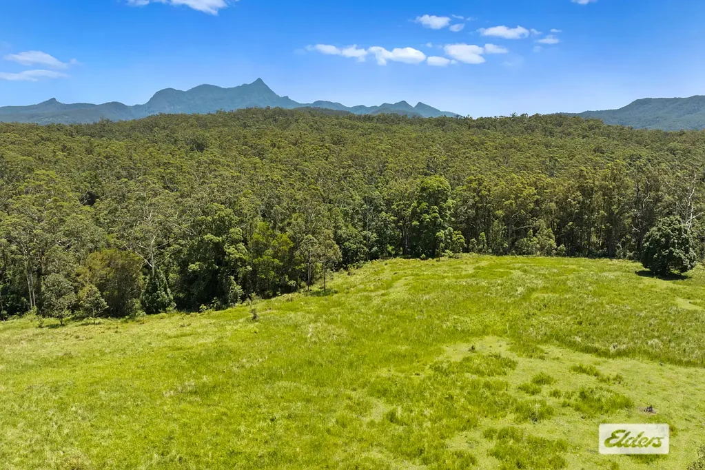 Doon Doon  A Home In Wollumbin's clouds