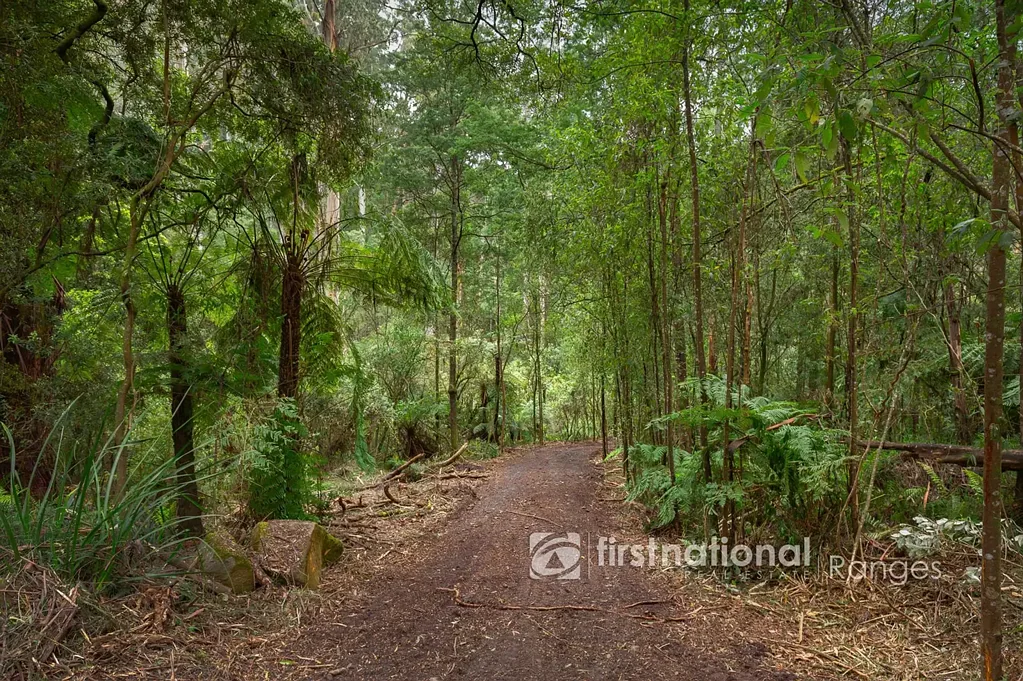70 SASSAFRAS CREEK ROAD, Sherbrooke, VIC 3789