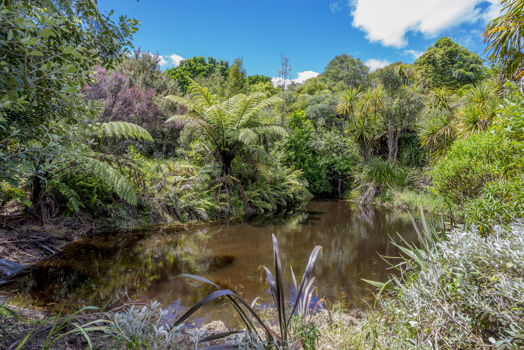 42 Manu Grove, Waikanae, Kapiti Coast, 3房, 0浴