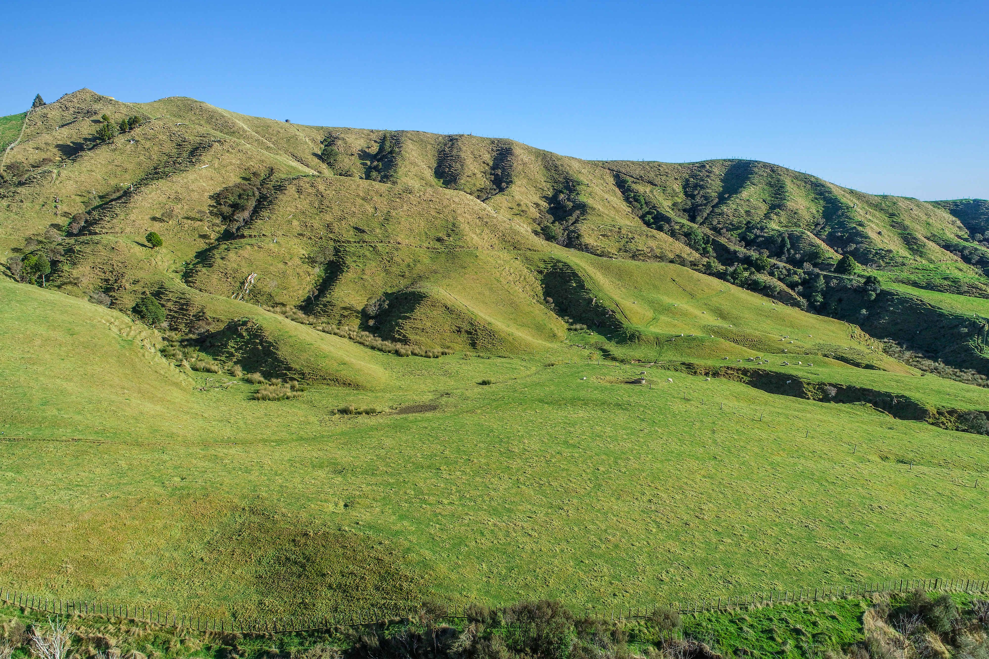 State Highway 4, Owhango, Ruapehu, 0 ਕਮਰੇ, 1 ਬਾਥਰੂਮ, Lifestyle Section