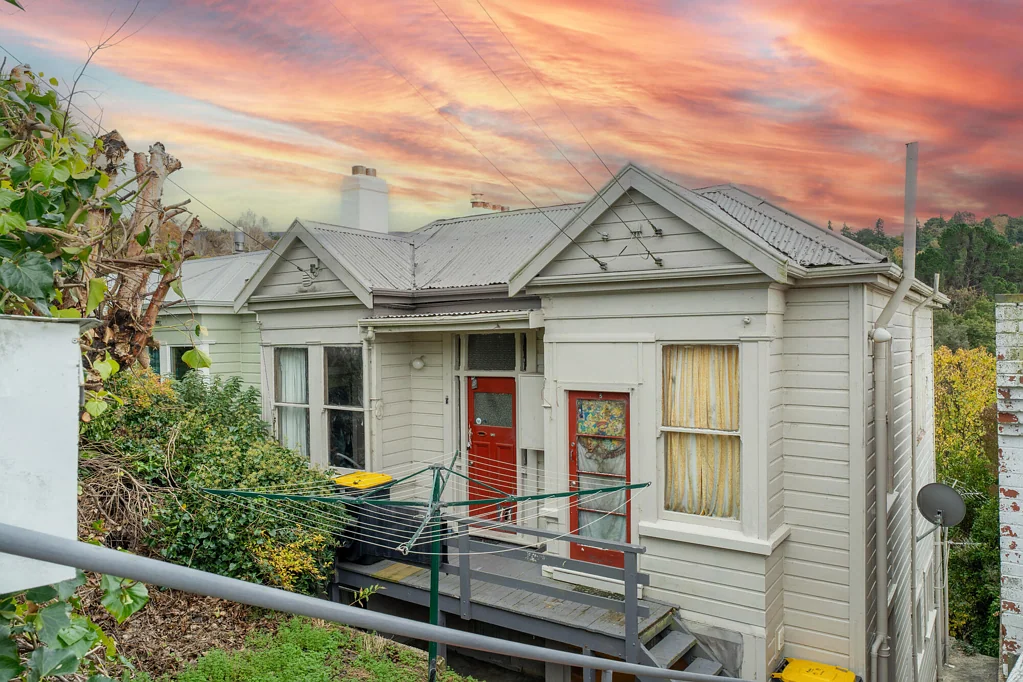 Central Dunedin 5房  Triple-Income Stream - One Title
