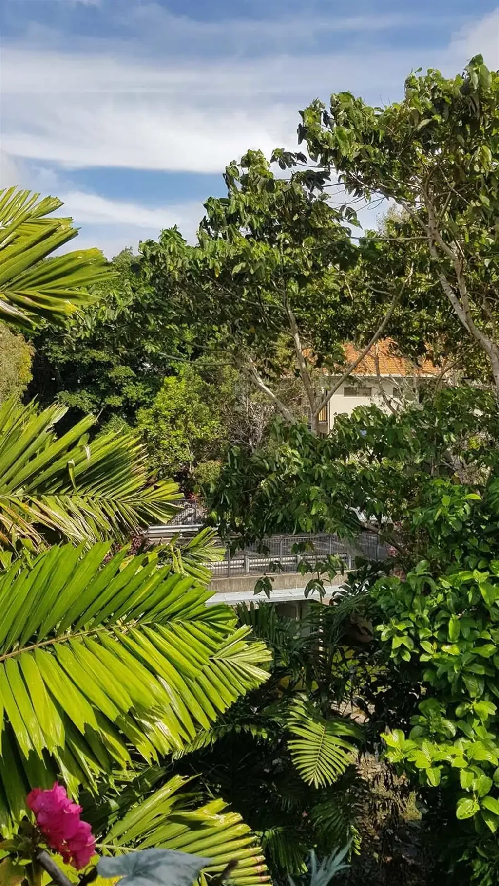 Block 16 Clifton Road, Clifton Beach, QLD 4879