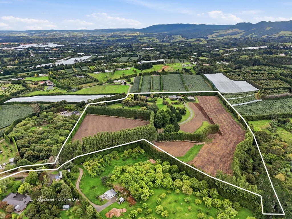 Katikati Calling all Dairy Farmers – Lucrative BOP lifestyle investment!