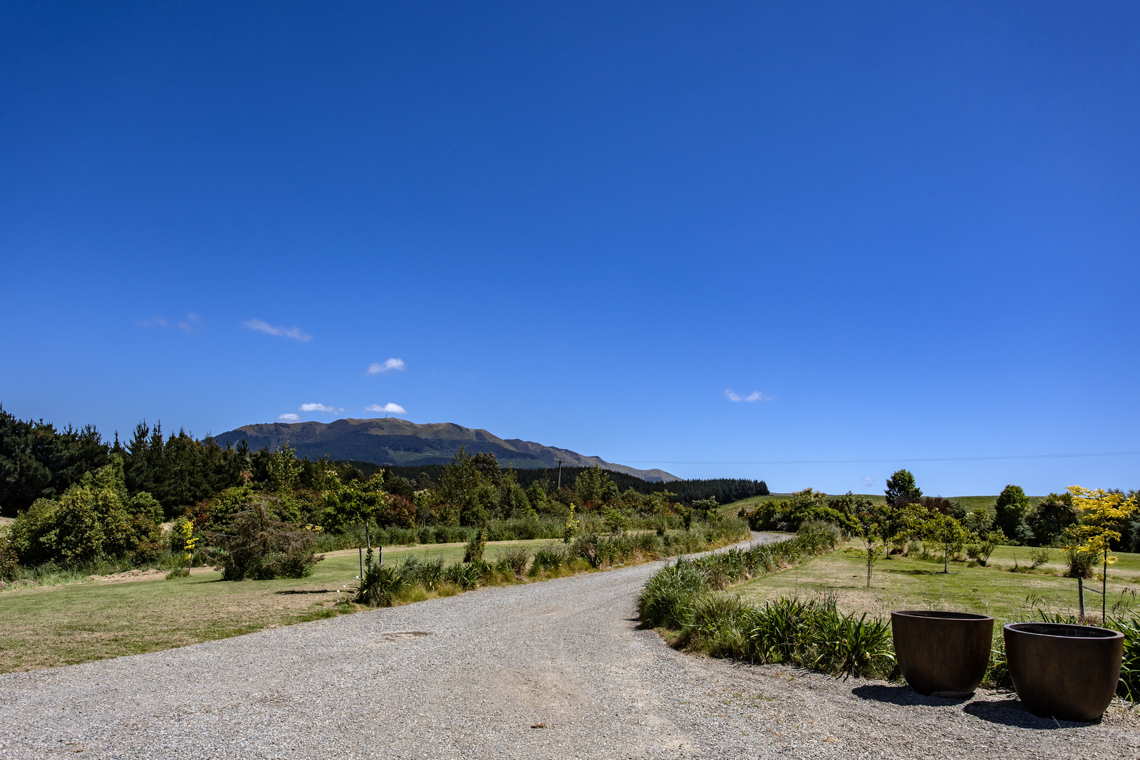 319 Cramptons Bush Road, Balcairn, Hurunui, 2 phòng ngủ, 0 phòng tắm, Lifestyle Property