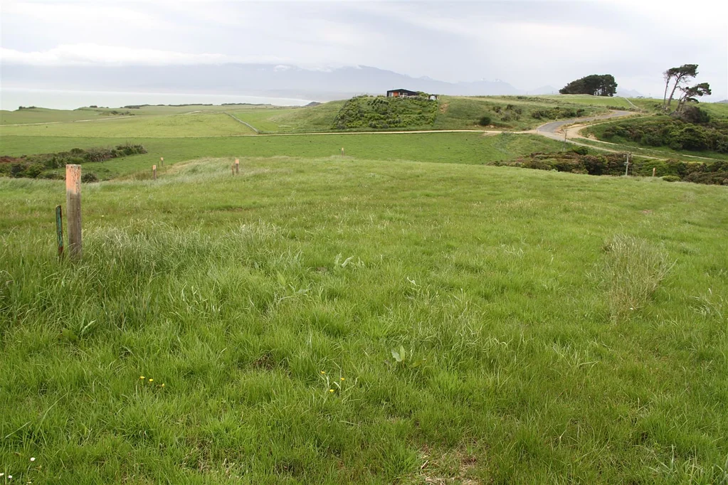 Tuatapere Titanic Opportunity Up For Grabs