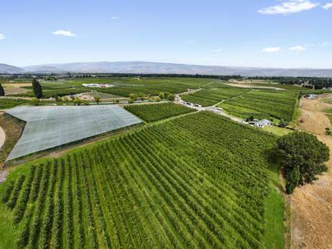 Alexandra  Organic Orchards in Central Otago