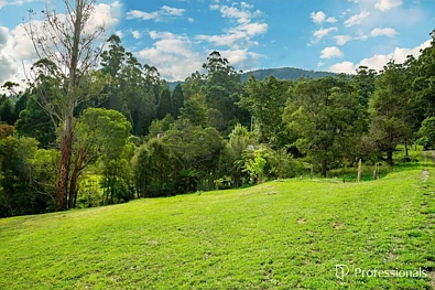 20 Andersons Avenue, Warburton, VIC 3799, 0房, 0浴, Section