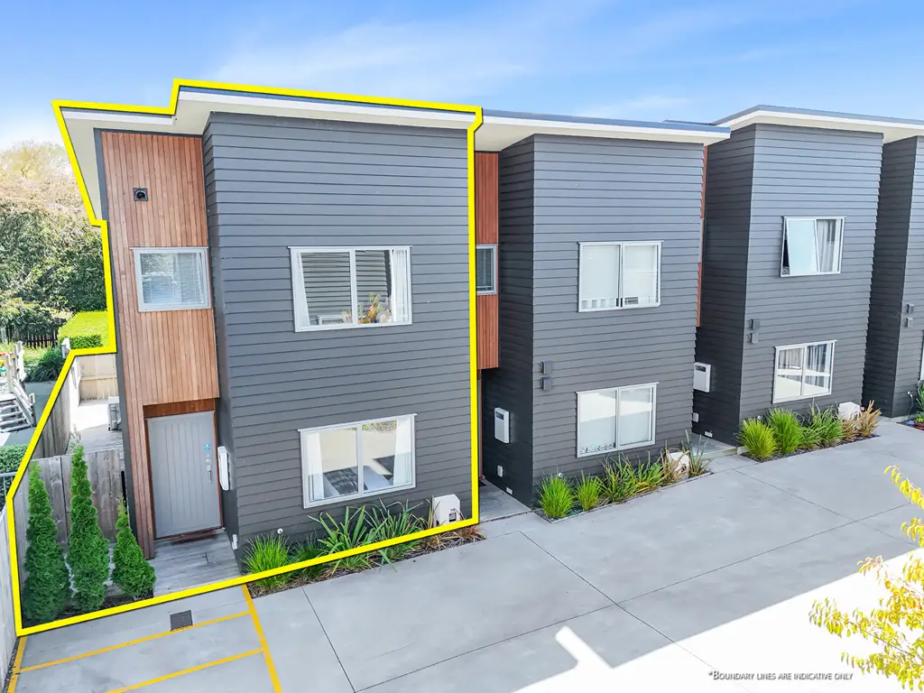 4/8 Richmond Street, Whitiora, Hamilton, Waikato
