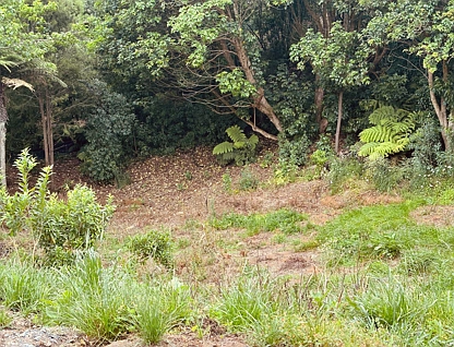 29c Rural View Terrace, Pukekohe, Franklin, 0房, 0浴, Section
