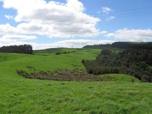 Kirikopuni Valley Road, Tangiteroria, Kaipara, 0 Schlafzimmer, 1 Badezimmer