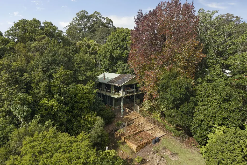 Bellingen 4Phòng ngủ Elevated Bellingen Sanctuary With Rainforest Privacy
