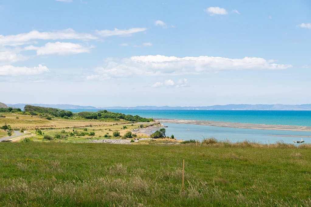 Wairoa 5 x 2500sqm sections - Whakamahi Beach - $300,000