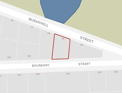 81 Bushyhill Street, Tapanui, Clutha, 0房, 0浴