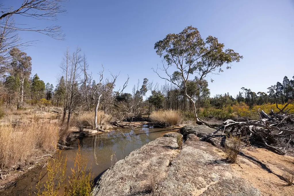 Gulgong Dwelling entitlement - Bush Block with creek.