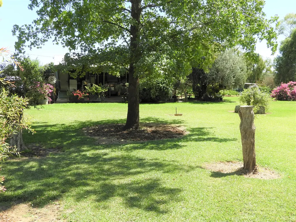 Warren 3 Bedroom 'Ah-Jay'  Macquarie River Farmlet