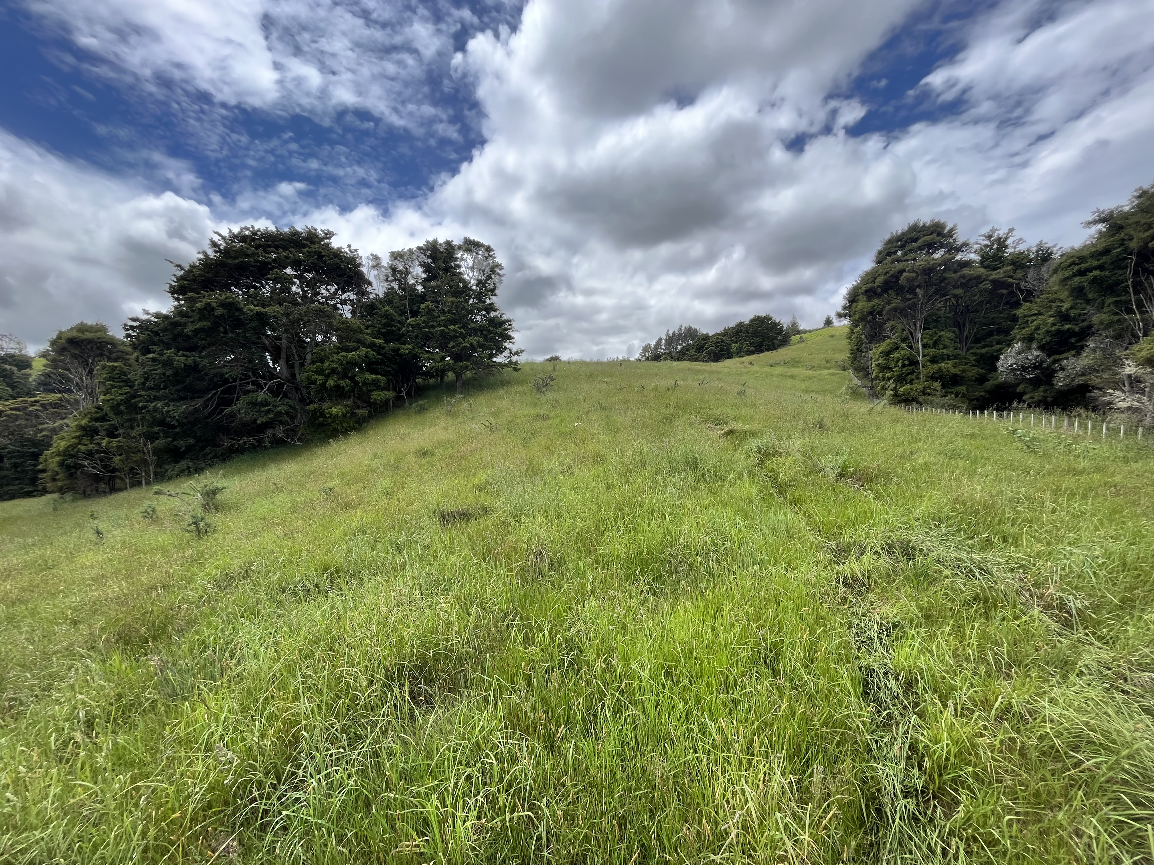 Franklin Road, Paparoa, Kaipara, 0房, 1浴, Lifestyle Section