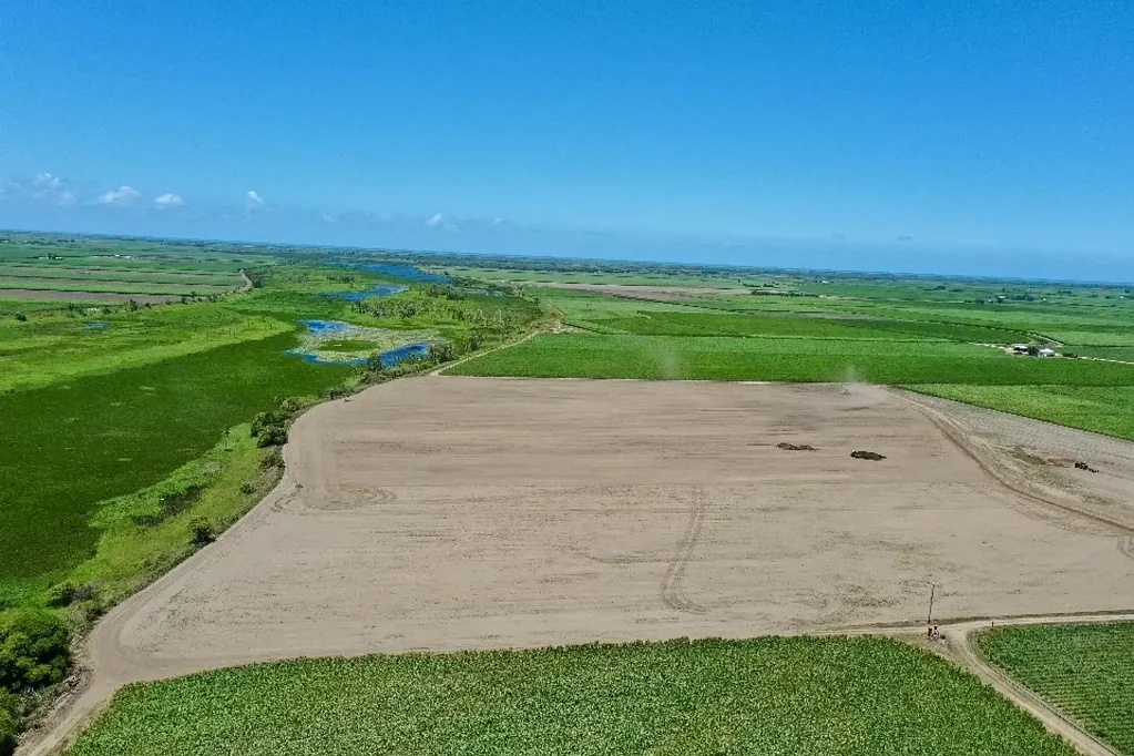 Jarvisfield 6000 Tonne Cane Farm with House - Shed - Irrigation