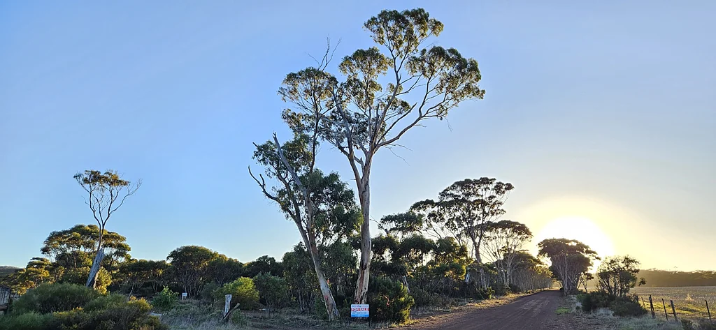 Lot 1 Carlingup Road, Ravensthorpe, WA 6346