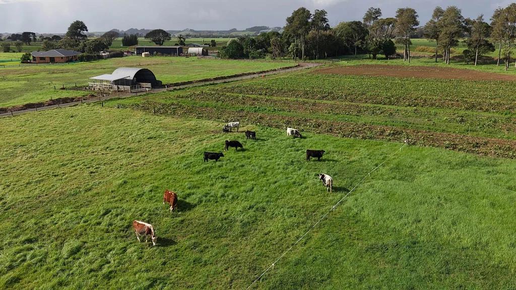 Kaitaia 47ha Farm/Market Garden