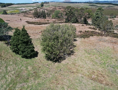 Lake Road, Okaihau, Far North, 0房, 0浴, Unspecified