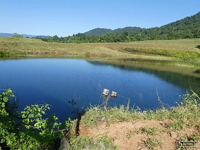 地址保密, Utchee Creek, QLD 4871, 3房, 1浴, Lifestyle Property