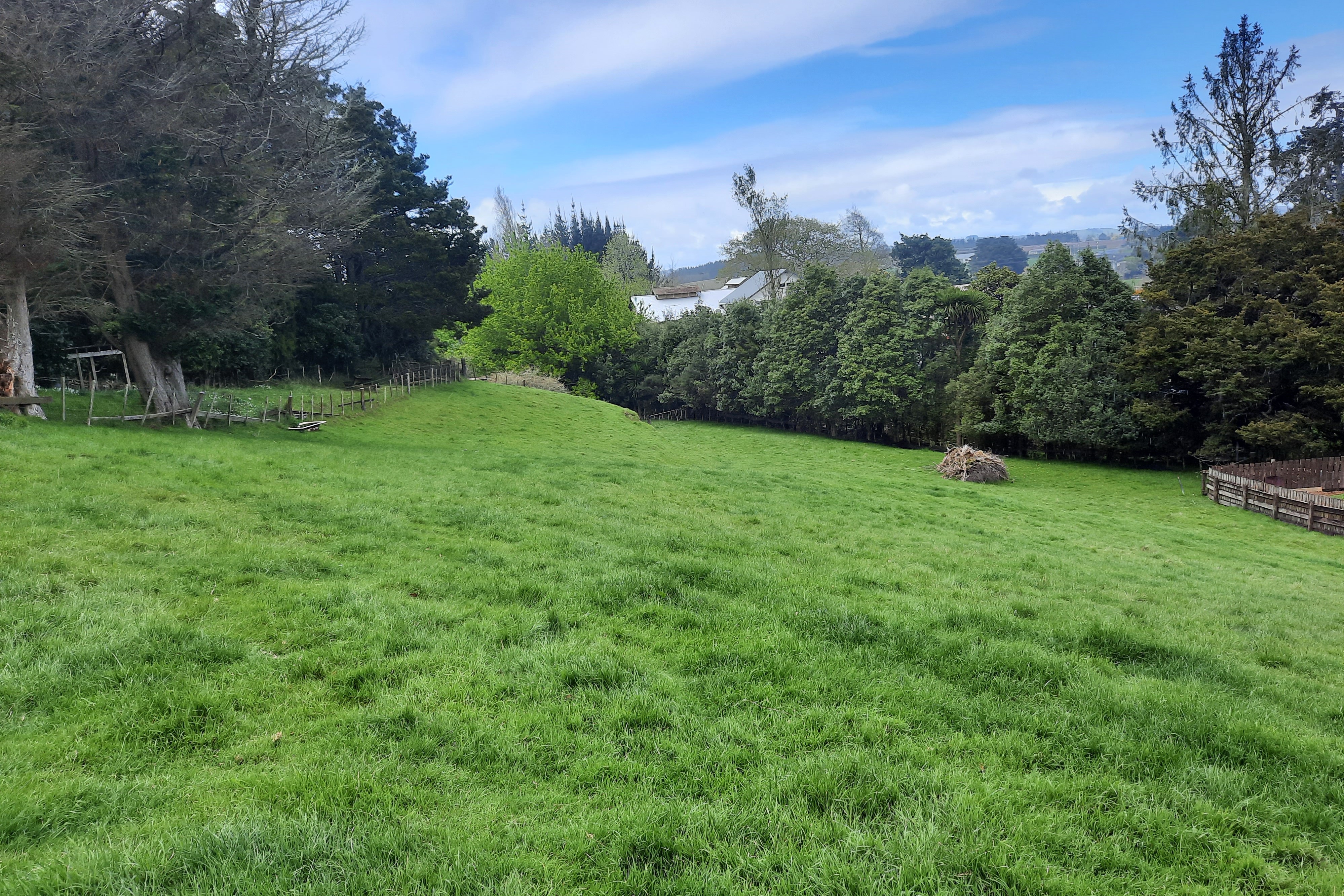 50c George Crescent, Buckland, Waikato, 0房, 0浴