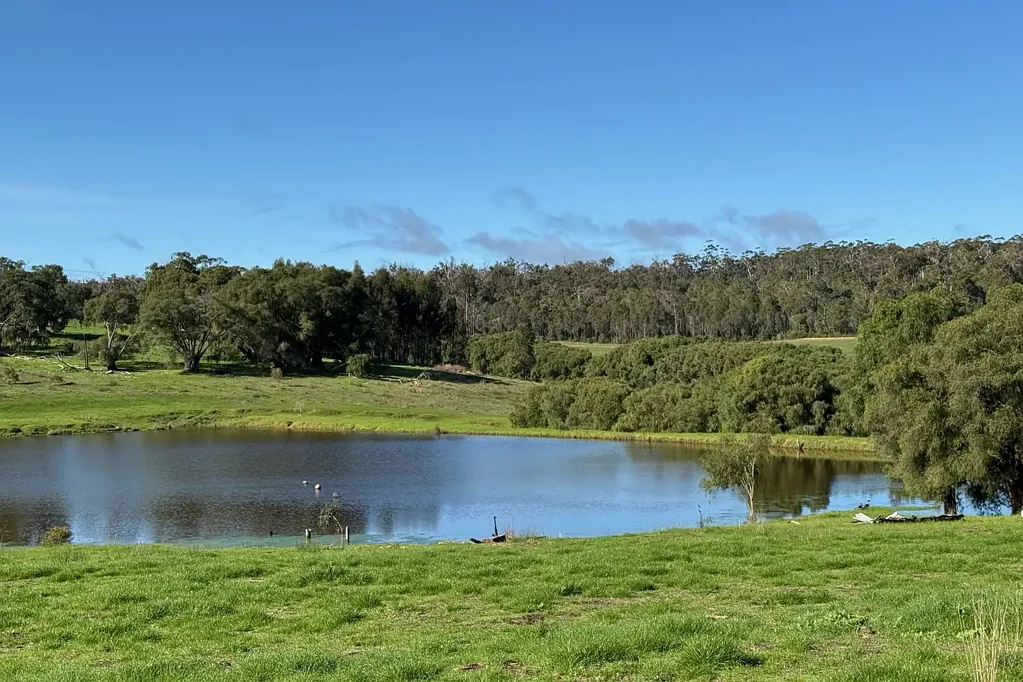 Middlesex 'Peppermint Grove', Prime Agricultural Land Close to Manjimup 164.6* Ha (406* Acres)