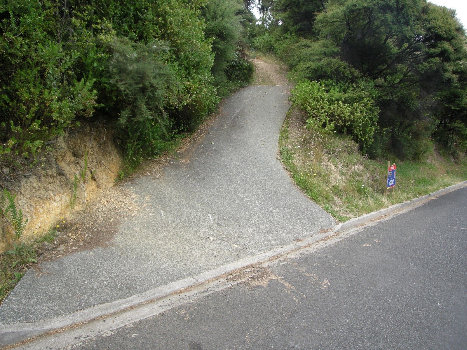 Hauraki Gulf Islands