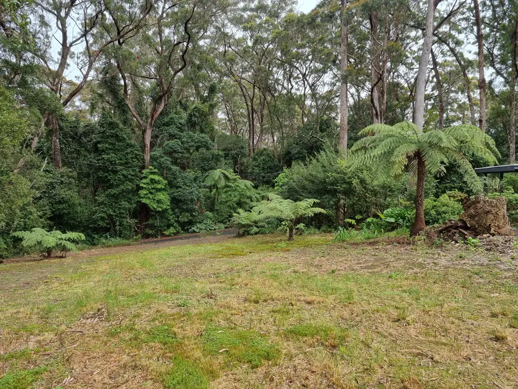 Springbrook Cleared and ready to go!!