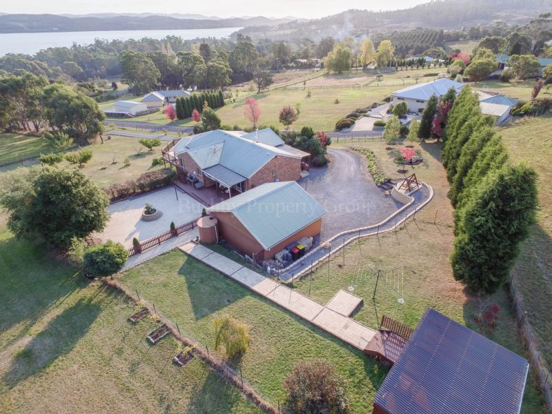 17 BURTON ST, HILLWOOD TAS 7252, 0房, 0浴, House