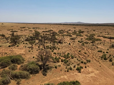258 Pycroft Rd, Orroroo, SA 5431, 0 Bedrooms, 0 Bathrooms, Lifestyle Property