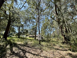 4 Canopy Cres, Russell Island