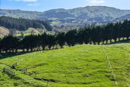 105A Bradey Road, Pauatahanui