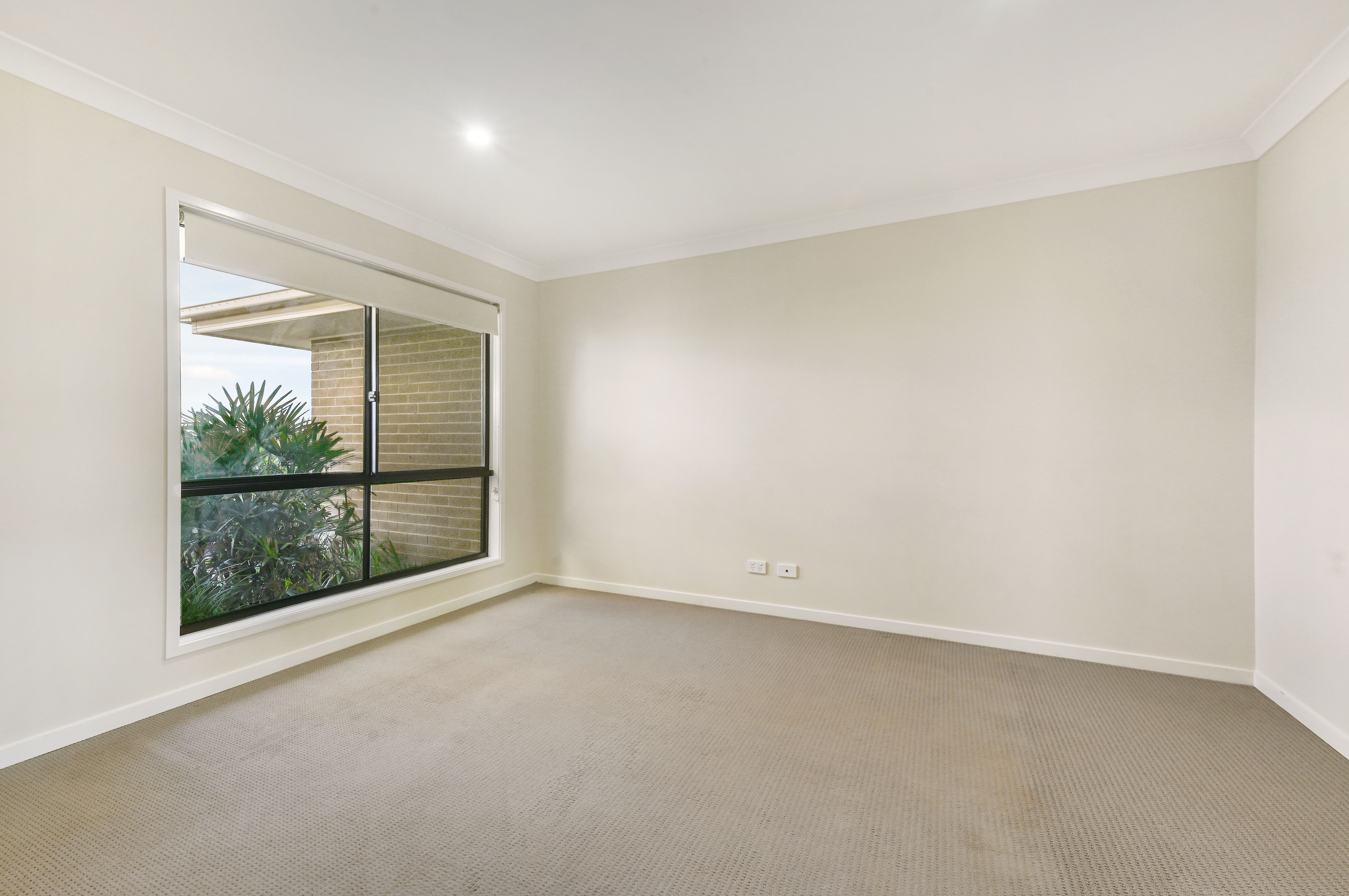 15 ARWON ST, WYREEMA QLD 4352, 0部屋, 0バスルーム, House