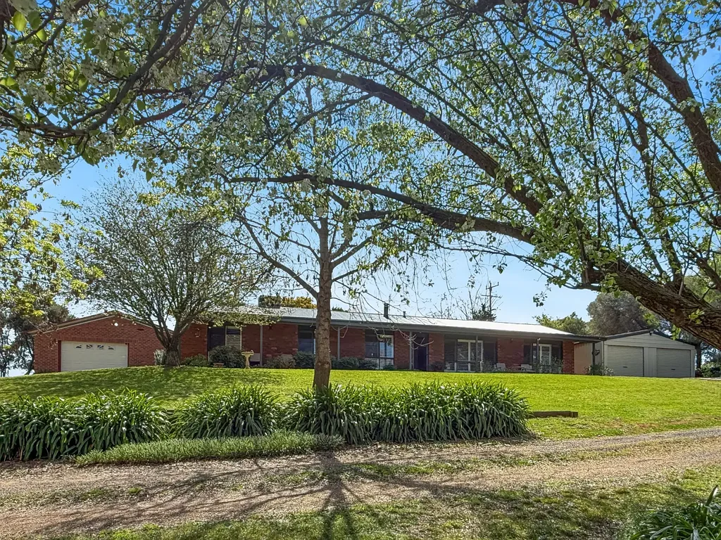 Young 4Kwarto Acreage, Versatility & Development Potential