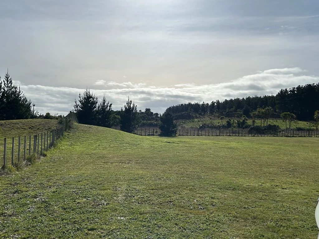 Waitarere Beach CREME DE LA CREME