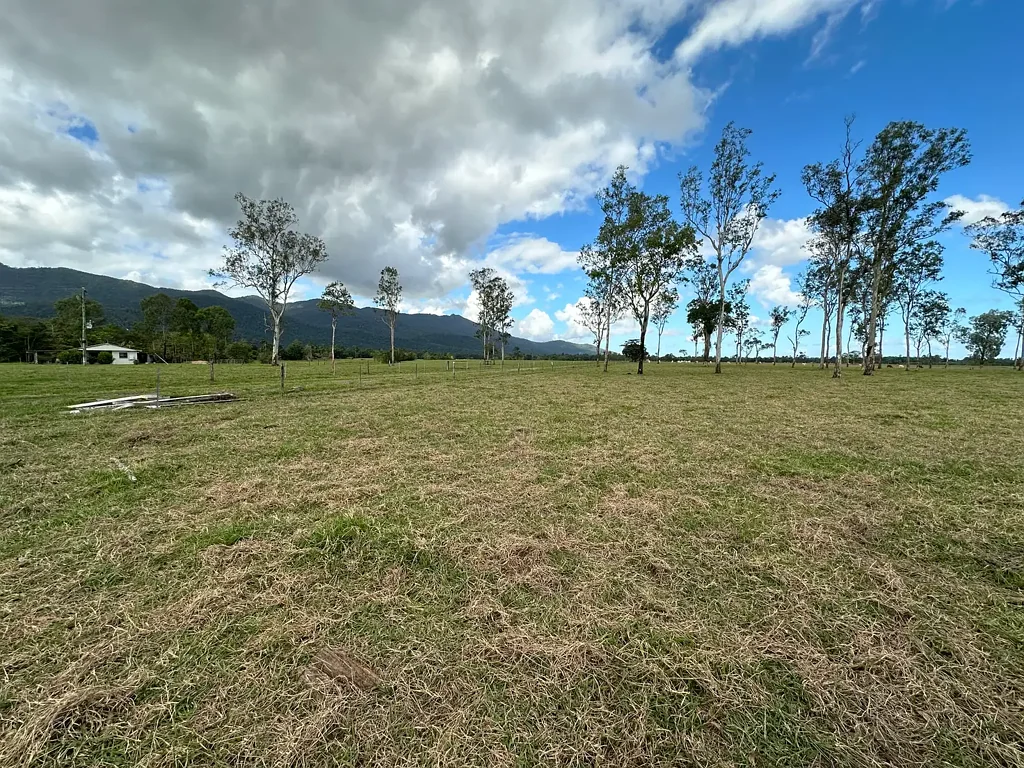 Jarra Creek  Large Quality Cattle property with Home, Bore, Sheds, Yards, Dams, Creek frontage, 123 ML Water Allocation, and adjacent Leased Banana farm