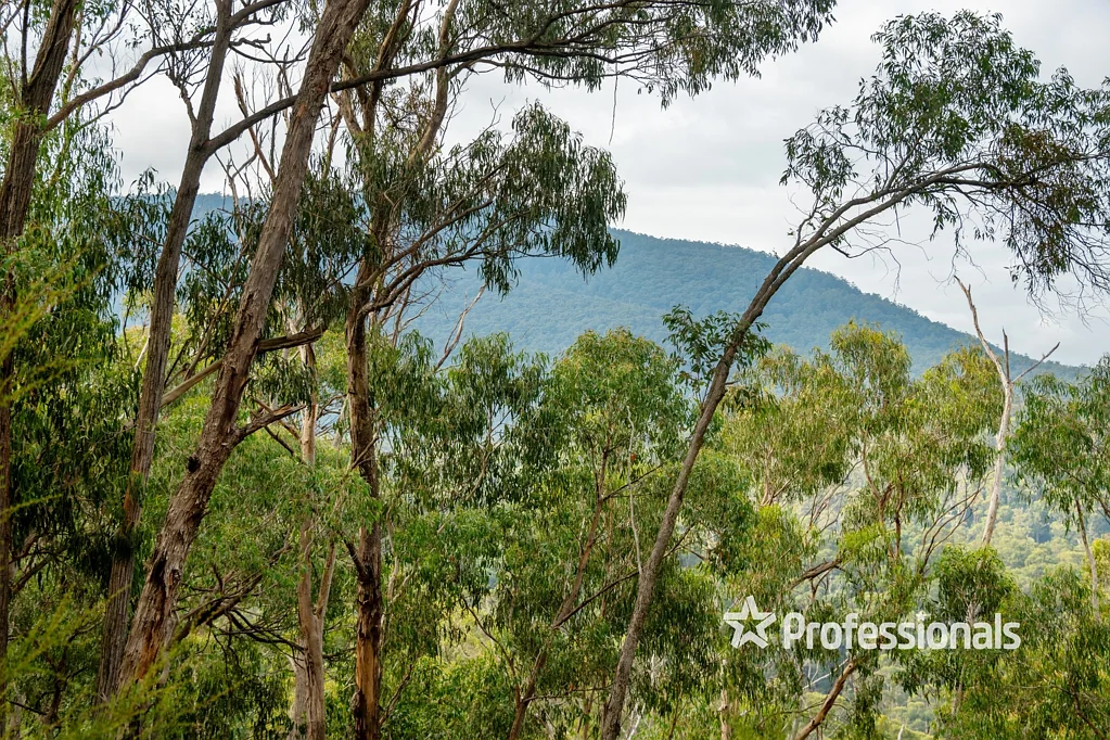 169 Lowes Road, Chum Creek, VIC 3777