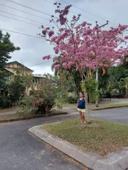 328-330 McLeod Street, Cairns North