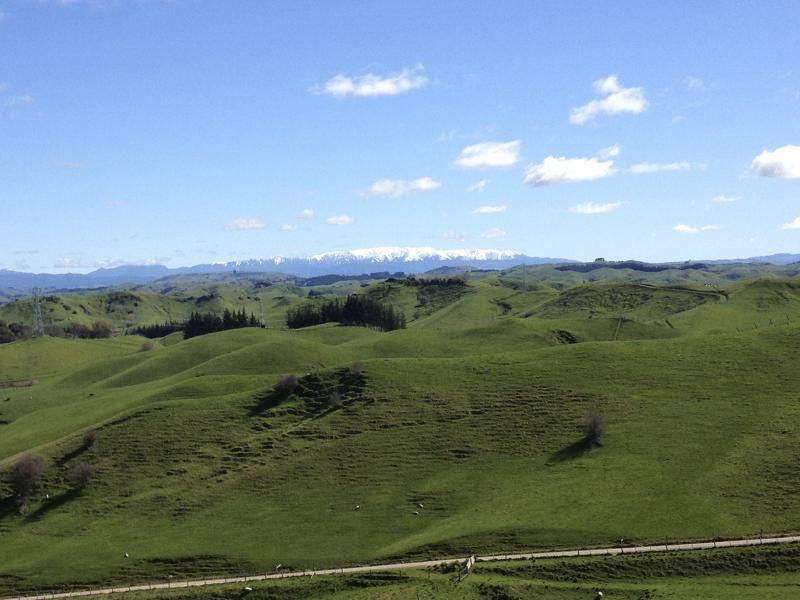 6 Puketapu Road, Taradale, Napier, 0房, 1浴