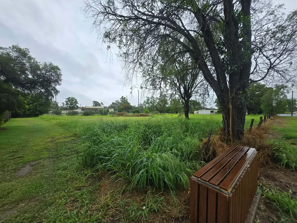 4 Morgan St, Baralaba, QLD 4702