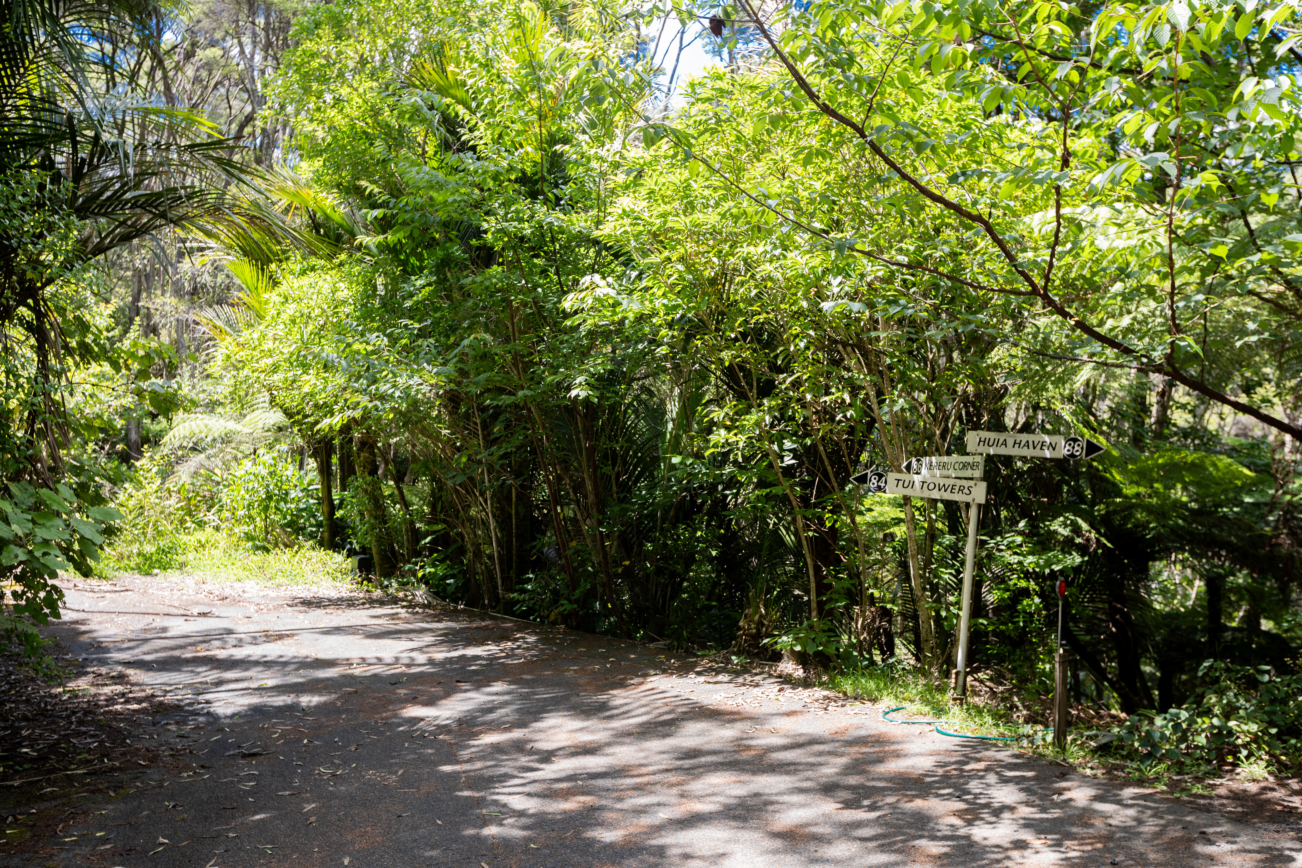 86 Huia Road, Titirangi, Auckland - Waitakere, 0房, 0浴, Section