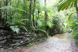 252 (Lot 25) Forest Creek Road FOREST CREEK, Daintree