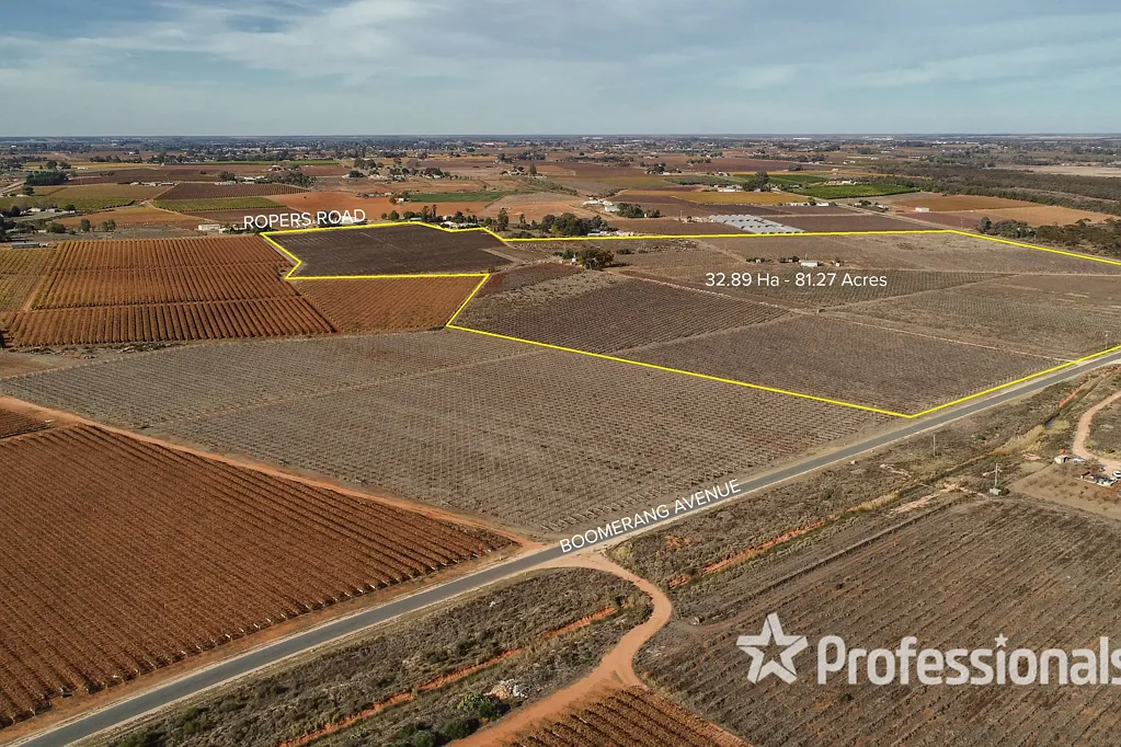 Cardross Irrigation Redevelopment Farm - 32.89 Hectares