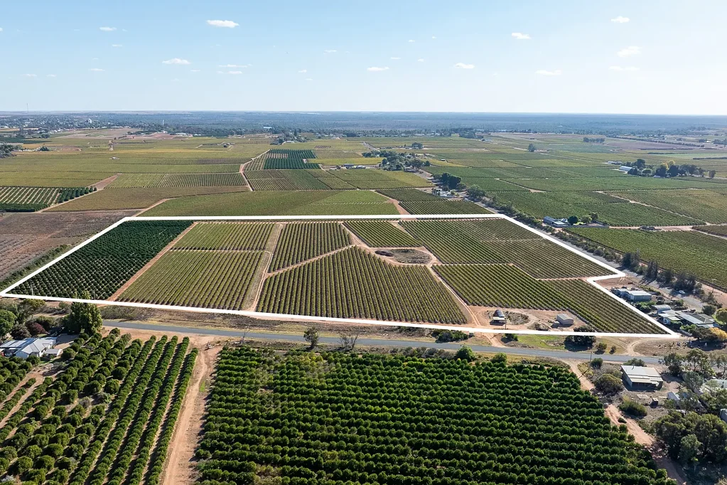 Loxton  Horticulturual Land Holding