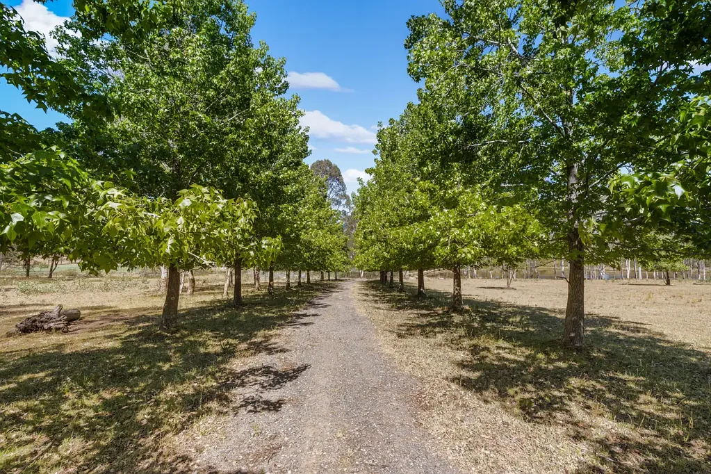40-46 Henry Cox Drive, Mulgoa, NSW 2745