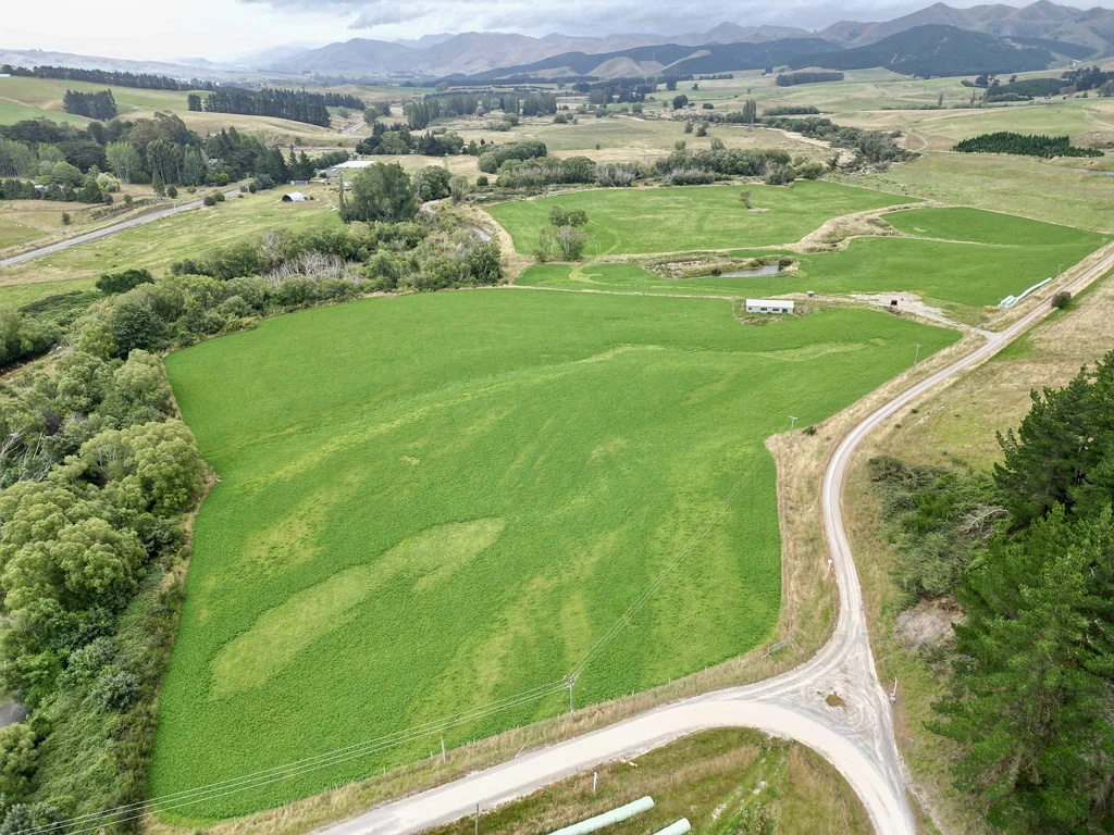 Palmerston Land, location and potential on the river
