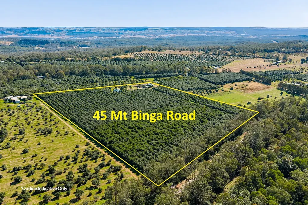Mount Binga Trees & Income or Simply Outstanding Lifestyle Blocks!