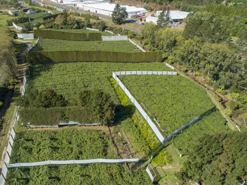 30 Apata Station Road, Whakamarama, Bay Of Plenty, 4 rūma, 0 rūma horoi